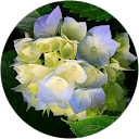 Katsuya INOUE profile picture