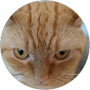 tom 、 profile picture